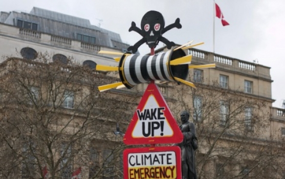 Has Greta Thunberg small_25-9-19_05-39-14.jpg